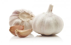 garlic1