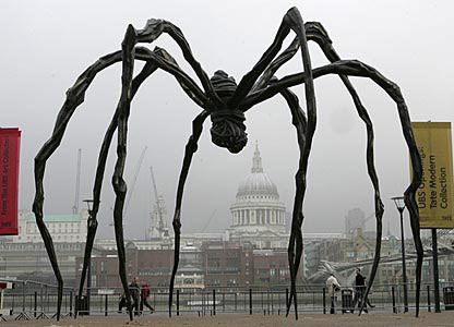 _44174011_spider416