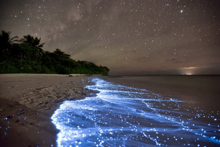 Shimmering shores of Vaadhoo, Maldives